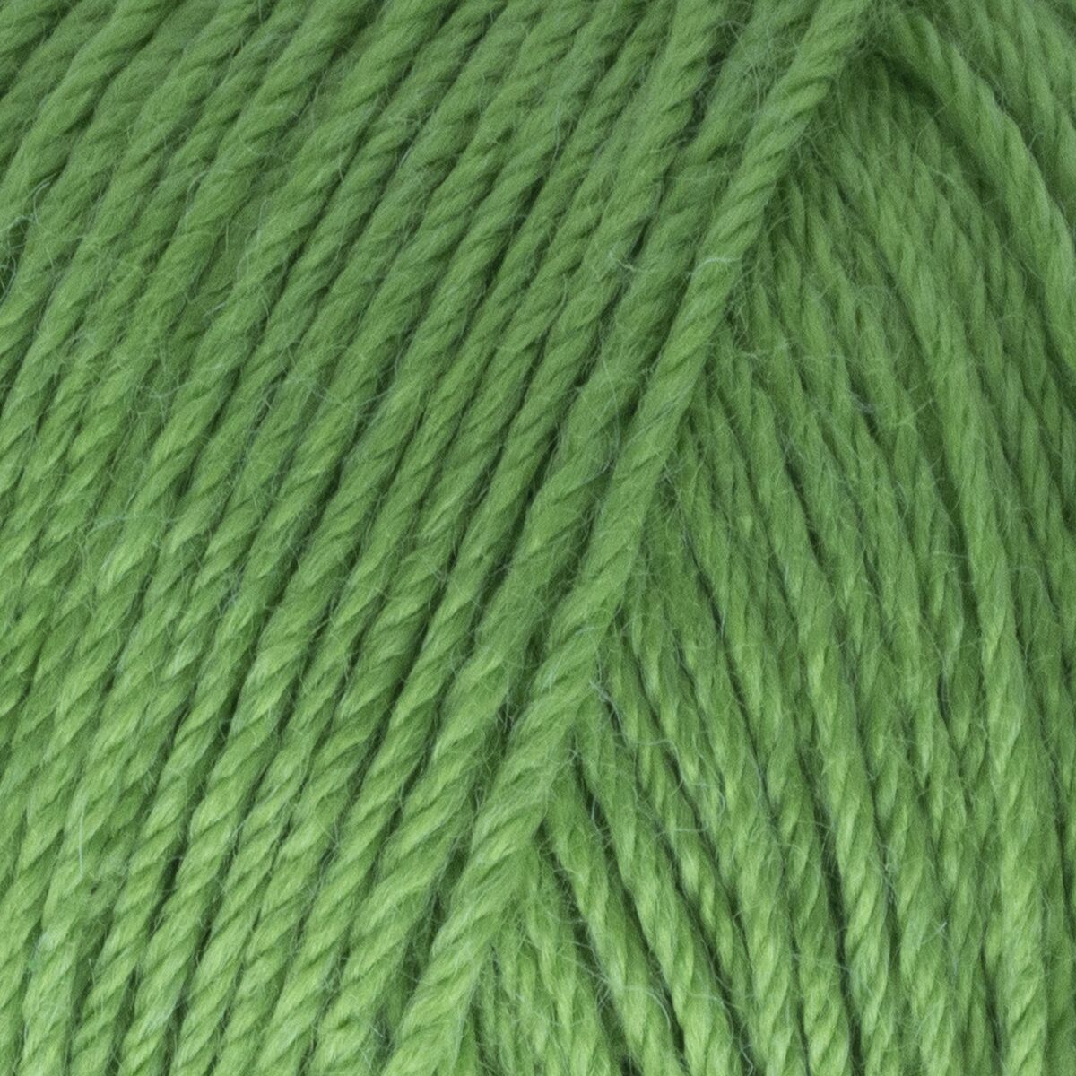 Gazzal Baby Wool Fern Green (838)