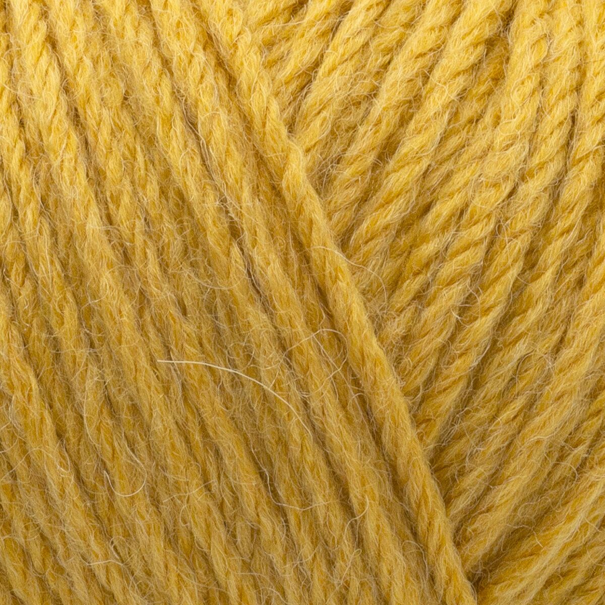Gazzal Baby Wool XL Mustard (842)